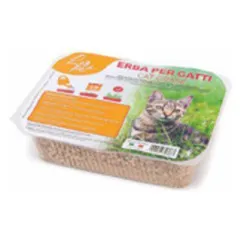 HERBE À CHAT 100G