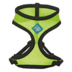 KIT DE PROMENADE POUR CHATS VERT
